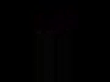 zzstevenzz
